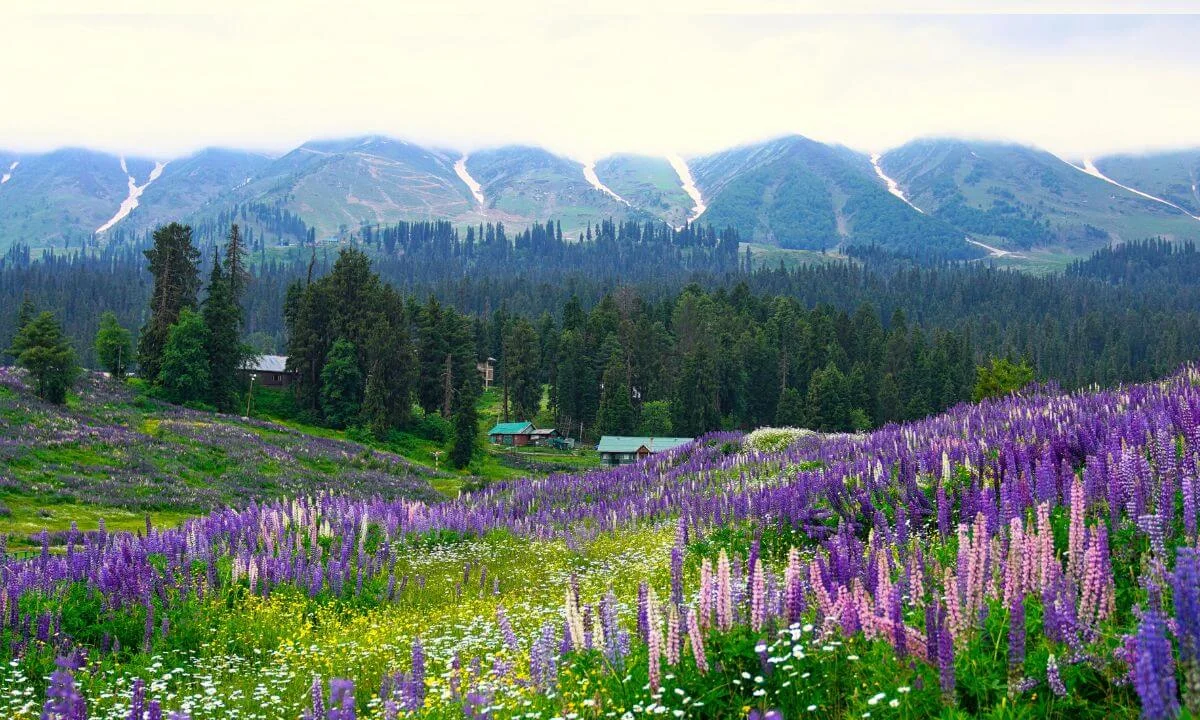 Gulmarg-pre-wedding-shoot